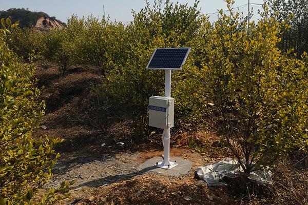 浙江衢州常山油茶大腦產(chǎn)業(yè)園土壤墑情監(jiān)測(cè)站案例